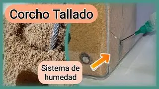 🚩Como hacer HORMIGUERO de CORCHO  -3 TIPS (sistema de HUMEDAD) diseño AMPLIABLE, fácil y ANTIFUGAS