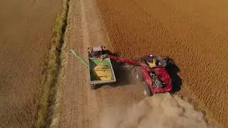 Soybean Harvest, 2017, by OurFocus 