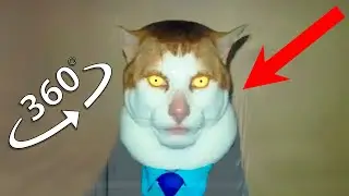 The Monday Left Me Broken Cat Finding Challenge 360º VR Video