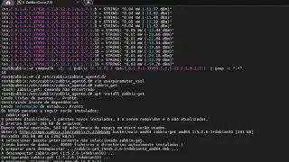 071 - Zabbix 5 - OLT V-Solutions -Total de Clientes e Amostra final do template