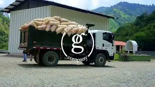 2022 Harvest Overview: Green Coffee Company