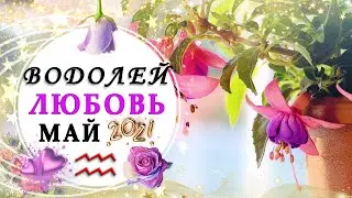 ВОДОЛЕЙ ЛЮБОВЬ МАЙ 2021