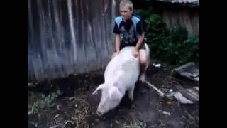 Прокатился