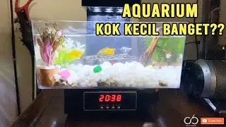 Review Aquarium Mini (Desktop USB)
