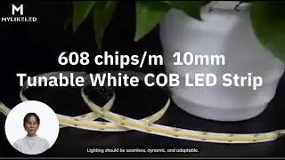 Meet the future of LED lighting—MYLIKE LED Tunable White COB Strip with 608 chips/m .