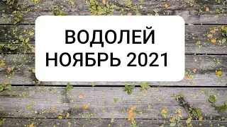 ВОДОЛЕЙ. НОЯБРЬ 2021 г.