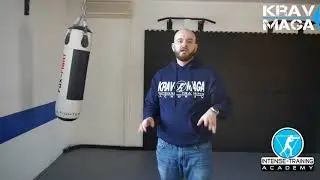 Krav Maga Kicks: Push Kick