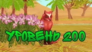 Прокачиваю лису до уровня 200 в Wild Craft
