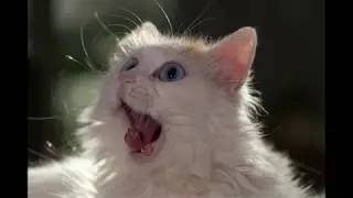 Что такое стоковый Т54Е1 ?