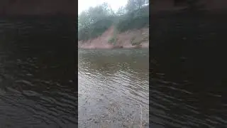 Сима, о. Сахалин, нахлыст