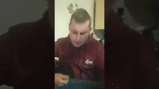 на гитаре батарейка