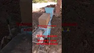 гиш куйамиз гаровтида
