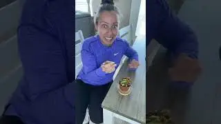 Let’s feed the Venus fly trap  