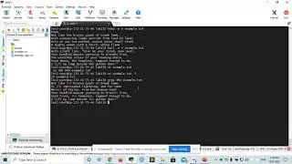 Bioinformatics 06: Basic Linux Commands. Part 2: rm, nano, less, head, tail, wc, grep and redirect.