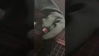 #shopecx #asmr #scootershop