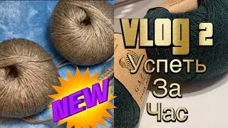 VLog 2. 
