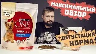 Сухой корм Purina ONE для собак с ягненком | Обзор корма | Корм Пурина Ван для собак