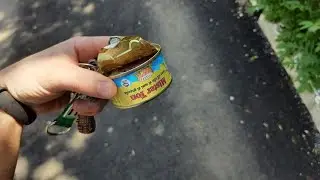 Рыбные консервы Mister Ton с тунцом на ПОСЛЕДНИЕ ДЕНЬГИ!  Вкусный обзор !