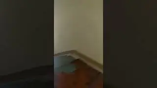 Спортивный клуб Олимпиец г. Владивосток