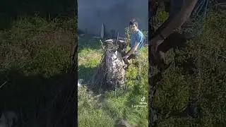 14 квітня 2024 р.
