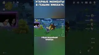 СМЕШНЫЕ МОМЕНТЫ С ПРОХОЖДЕНИЯ В GENSHIN IMPACT 