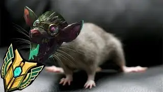 Twitch EXE.