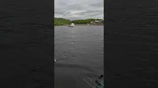 Хороший загиб спиннинга