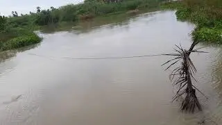 Nivar Cyclone Damages - Part 2