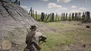 Чит-код на создание скаковой лошади (RDR2)