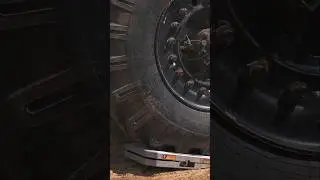 ⚖️Сколько весит шишига?