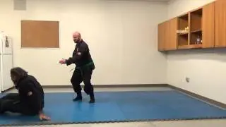 Nage Wazas Seoi 2
