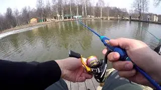 Все ещё открываю сезон ПАРУС-север