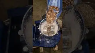 Как работает гранулятор с подвижной матрицей? Гранулятор ГДР-125 с мотором 2,2 кВт/час.