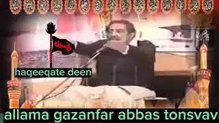 Allama Ghazanfar Abbas Tonsvi Al Hashmi
