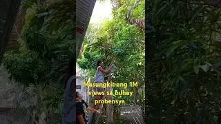 May prutas na pwede mo lng hingiin sa kapitbahay Kong gusto ko at Kong mabait Sila