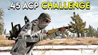 .45 ACP Challenge - PUBG