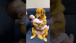 Kotooo ta cute 🥰🥰