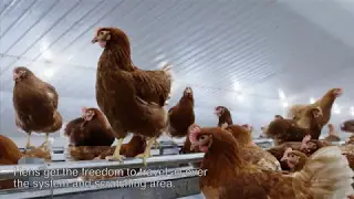 [EN] AviaView® aviary system