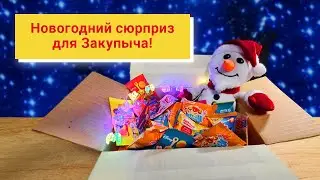Отправляю Закупычу обещанный Новогодний сюрприз!