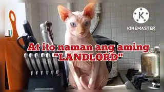 FIRST DAYMORNING SA NEW FLAT NA INUUPAHAN KO.