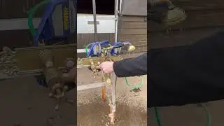Reclaimed Brass Bath Taps   UKAA