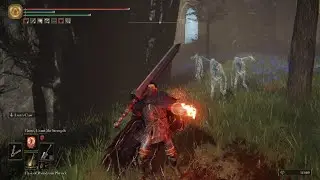 ELDEN RING - Guts Lion's Claw DMG test