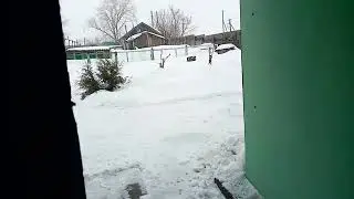 Мартовские Коты!!! Возвращение с ночной смены!!! 😀😀😀👍👍👍