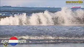Plaža Scheveningen (Nizozemska) 4K