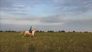 Ксюша - колбаса