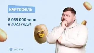 ЭКОНОМИЧЕСКИЕ НОВОСТИ | КАРТОФЕЛЬ 🥔
