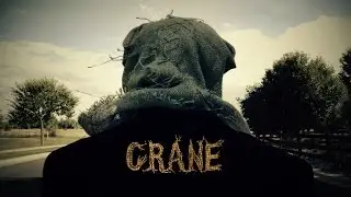 Crane