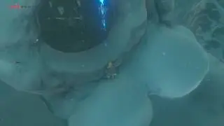BotW Wii U - Lizards Truly are Primitive