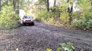 Баха 2013