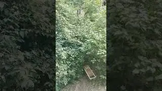 Готуй санчата з літа)))) 